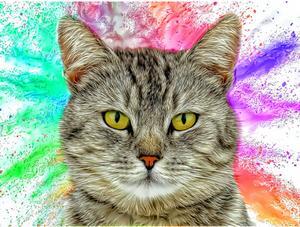 CATS - Kitty Gray Tabby Precious by Alan Foxx - PoP x HoyPoloi Gallery